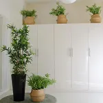 Apartamento - Luxury Italy *