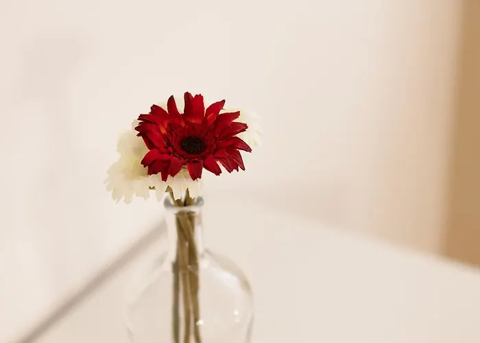 - Luxury Italy Apartment Verbania